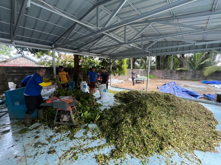 Ditpolairud Polda Sumsel Siap Produksi Massal Pupuk Organik Eceng Gondok