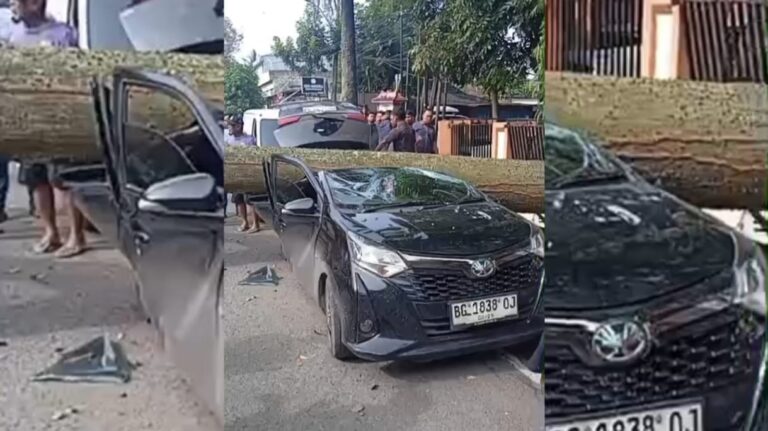 Tiga Mobil Tertimpa Pohon Tumbang di Depan Kantor Kecamatan Ilir Timur I Palembang