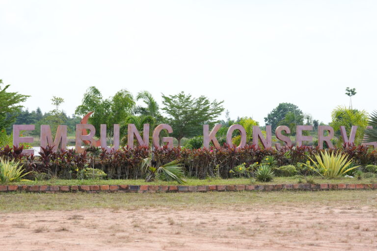 Pemprov Sumsel Dorong Promosi Rumah Pewarna Alami Kebun Raya Sriwijaya dan Dukungan CSR